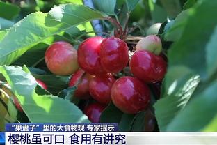 江南官方全站app下载安装苹果